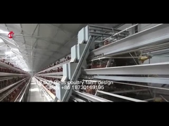 20,000 क्षमता वाले पोल्ट्री फार्म सैंडी के लिए एक प्रकार का पूर्ण स्वचालित चिकन पिंजरे का उपकरण