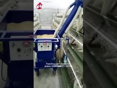 एक प्रकार और एच प्रकार अनुकूलन आकार स्वचालित चिकन फीडिंग कार्ट एडेला