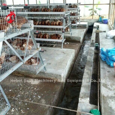 ऑटो थ्री फेज पोल्ट्री खाद खुरचनी मशीन चिकन अपशिष्ट सैंडी निकालें
