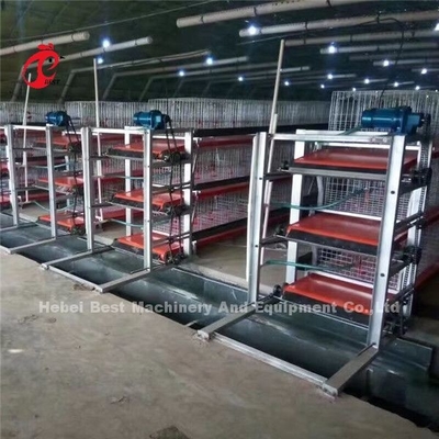 ऑटोमैटिक 4 टियर एच प्रकार ब्रोइलर चिकन पिंजरे मांस चिकन फार्म के लिए
