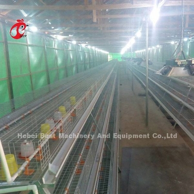 पालना पिंजरा कुक्कुट फार्म ब्रूडर प्रजनन उपकरण सैंडी