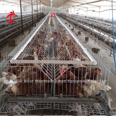 पालना पिंजरा कुक्कुट फार्म ब्रूडर प्रजनन उपकरण सैंडी