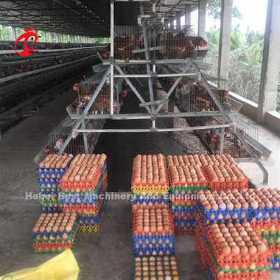 अर्ध स्वचालित 3.5 मिमी परत बैटरी केज सिस्टम पोल्ट्री फार्मिंग उपकरण Ada