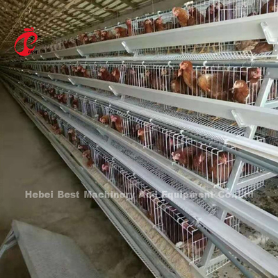 अर्ध स्वचालित 3.5 मिमी परत बैटरी केज सिस्टम पोल्ट्री फार्मिंग उपकरण Ada