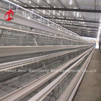 स्टेनलेस स्टील तार बैटरी पिंजरे के लिए चिकन 432cm2 क्षेत्र पक्षी Adela