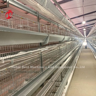 स्टेनलेस स्टील तार बैटरी पिंजरे के लिए चिकन 432cm2 क्षेत्र पक्षी Adela