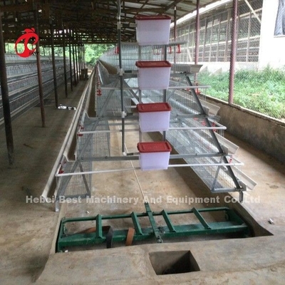 2.2m लेयर बैटरी पिंजरे प्रणाली क्षमता 120-200 मुर्गियों के लिए