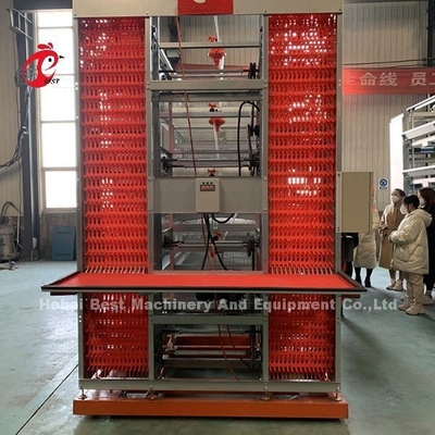 20,000 परतों एडेला के लिए 20 साल की उम्र परत कुक्कुट पालन स्वचालित चिकन पिंजरे उपकरण