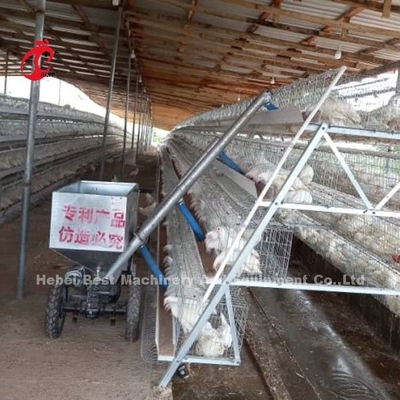 पोल्ट्री फार्म एमिली के लिए अनुकूलित स्वचालित चिकन फीडिंग कार्ट