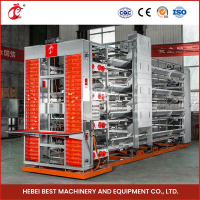 Turnkey Project H Type Automatic Chicken Cage Equipment For Layers Broilers Chicks Star