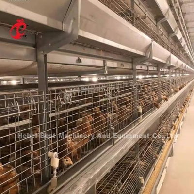 Q235 स्टील मजबूत तार ब्रोइलर पिंजरे 1.5m द्वारा 2.2m द्वारा 1.75m एडेला