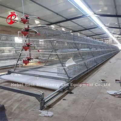 एच प्रकार स्वचालित एच प्रकार ब्रोइलर चिकन पिंजरे वीडियो स्थापना आउटगोइंग निरीक्षण प्रदान गुलाब