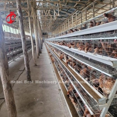 अर्ध-स्वचालित H प्रकार बैटरी पिंजरे प्रणाली परतों के लिए रेत