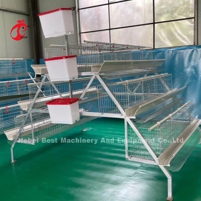3 स्तर 120 पक्षी और 4 स्तर 160 पक्षी परत बैटरी पिंजरे प्रणाली युगांडा के लिए तंजानिया पोल्ट्री फार्म सैंडी