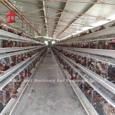 एक प्रकार मैनुअल अंडे देने वाली मुर्गियां पोल्ट्री केज एमिली
