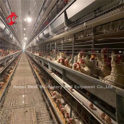 144 पक्षी क्षमता एच प्रकार के वाणिज्यिक चिकन मिया के लिए परत पिंजरे