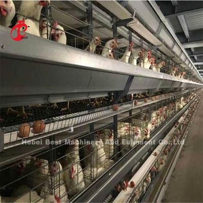 3 4 टियर स्वचालित परत चिकन बैटरी पिंजरे मुर्गियाँ बिछाने के लिए मिया