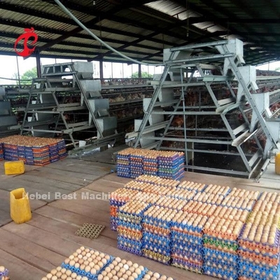 टर्नकी प्रोजेक्ट ऑटोमैटिक पोल्ट्री बैटरी केज सिस्टम 3 टियर 450cm2 स्टार