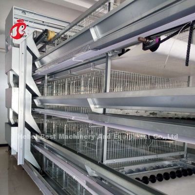 पूर्ण एच प्रकार स्वचालित परत चिकन बैटरी पिंजरे 500 पक्षी Adela