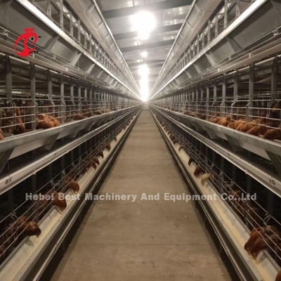 बड़े फार्म के लिए एक प्रकार की परत चिकन बैटरी केज पूर्ण स्वचालित Adela