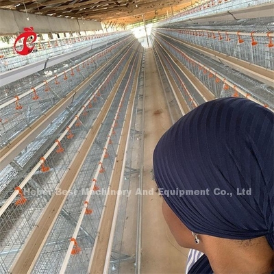 गैल्वेनाइज्ड पोल्ट्री फार्म लेयर केज बैटरी केज कीमत नाइजीरिया में लागोस वेयरहाउस एमिली