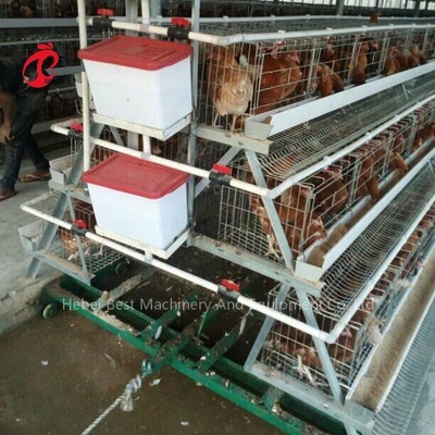 पिंजरे प्रणाली कुक्कुट खाद खुरचनी खाद सफाई 3 प्रकार आईरिस