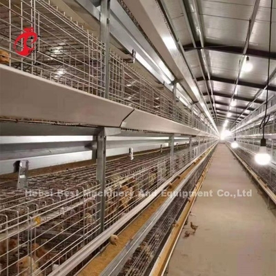 एच टाइप ब्रायलर चिकन केज सीई, पूर्ण स्वचालित ब्रॉयलर केज उपकरण Adela