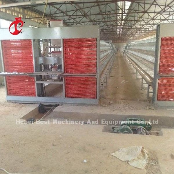 पोल्ट्री एमिली में सीढ़ी प्रकार चिकन 2.4 मिमी स्वचालित बैटरी केज सिस्टम