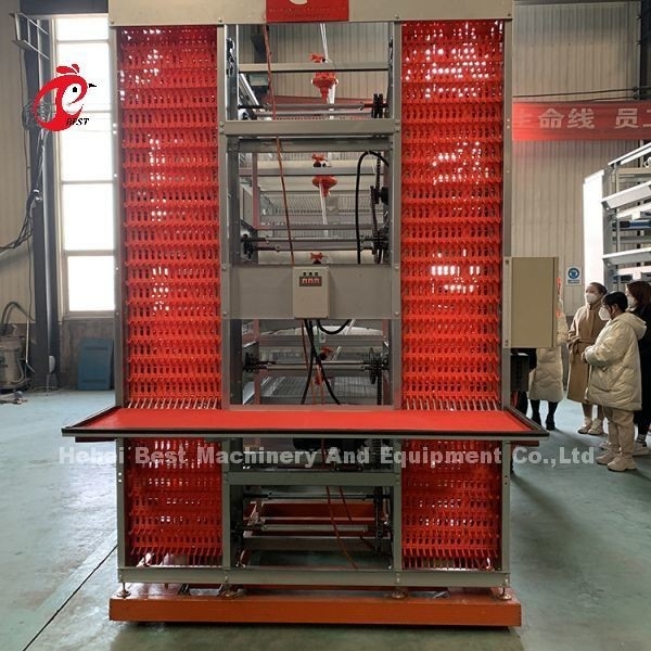 20,000 परतों एडेला के लिए 20 साल की उम्र परत कुक्कुट पालन स्वचालित चिकन पिंजरे उपकरण
