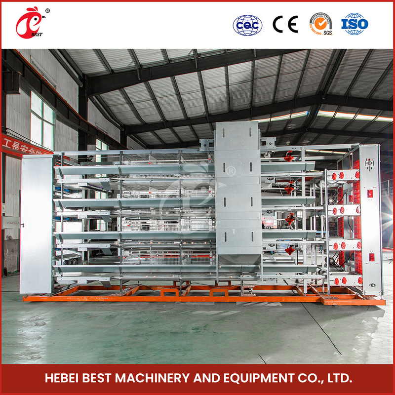 Turnkey Project H Type Automatic Chicken Cage Equipment For Layers Broilers Chicks Star