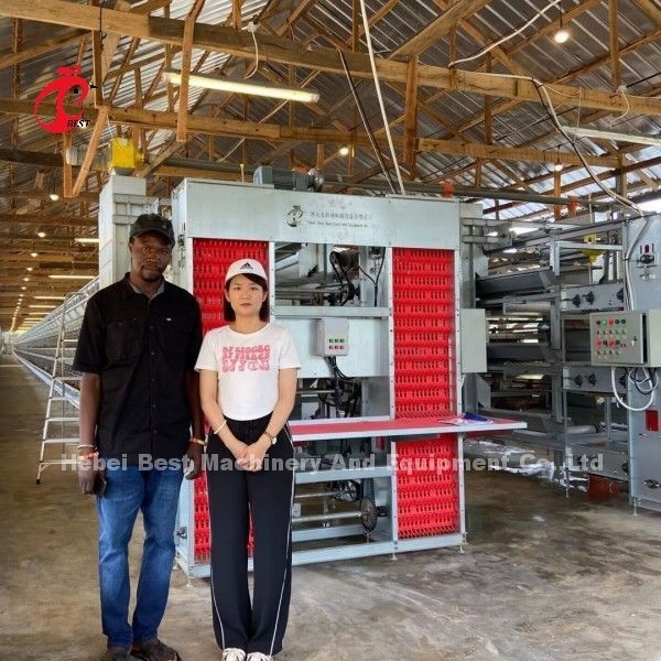 गर्म जस्ती Q235 स्टील चिकन बैटरी पिंजरे नाइजीरिया के लिए घाना कैमरून चिकन फार्म डोरिस