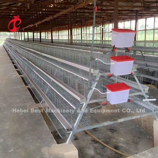 कमर्शियल चिकन लेयर बैटरी केज सिस्टम 2.0m * 2.0m * 1.45m नाइजीरिया में स्टार
